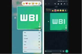 WhatsApp Siapkan Emoji Reaction dan Fitur Baru yang Lebih Personal!